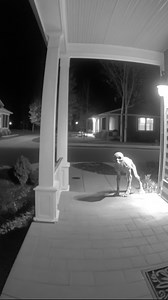 1.2M views · 2.6K reactions | I let my dog out for a walk and this came back (AI generated) Partner: Cherry Chuckle | Crafty Panda | Facebook