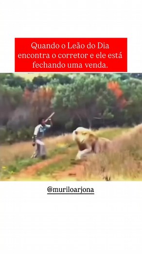 Quando o Leão do Dia encontra o corretor fechando uma venda… hoje não!!! Com certeza esse corretor já garantiu a inscrição na Black Friday do Financiamento Pro. Se você ainda não tomou essa decisão, corre pro link da bio! | Murilo Arjona - Correspondente Bancário