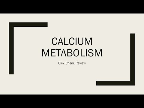 Calcium Metabolism Review