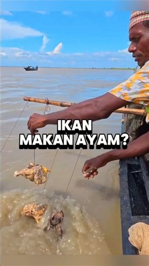 Cuma modal ini doang bisa dapat ikan banyak