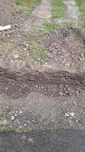 6.8K views · 76 reactions | The code is yellow | No Links | Facebook