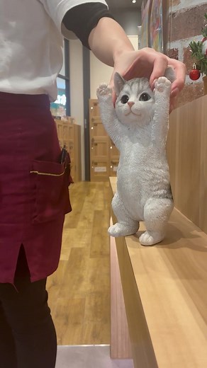 イオンモール常滑で楽しむいぬねこカフェRio