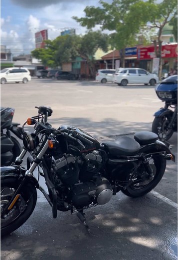Walking-walking #harleydavidson #sportster48 #hd48sportster #blackie #hdcisleman #streetglide #roadglide #fyp