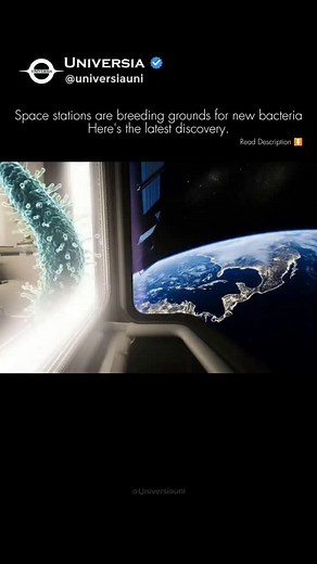 No, this is not an alien bacteria. But the truth is almost as wild. Scientists have discovered a new bacterial species on China's Tiangong space station. It's a novel strain, meaning it's not in any database on Earth. So where did it come from? Us. Space stations are closed, isolated boxes. Astronauts bring their own microbiomes, and these bacteria and fungi then begin to live on the surfaces. In the extreme environment of space with microgravity, cosmic radiation, and higher CO2 levels these mi