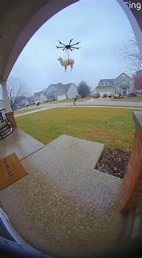 Doorbell Cam Captures a DRONE Carrying a LLAMA… What Is Happening?! 😂🦙🚁