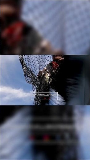 WALLEYE RIVER FISHING