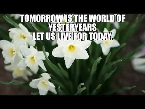 Hey by Julio Iglesias ( English Version Lyrics)