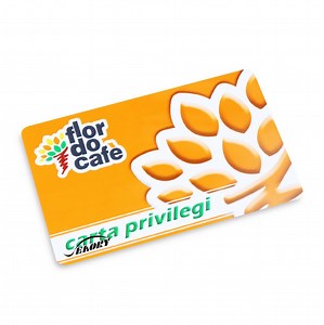 [Hot Item] ISO 7816 Cr80 Contact Plastic ID Card / Logic Encryption Card / Access Control System Smart IC Card