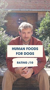 Comment below with any other foods you want me to rate out of 10 and I'll try and include them in the next video. Cam | The Dog Nutritionist