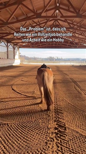 Understanding Fjord Horse Dressage Techniques