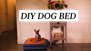 48K views · 95 reactions | Sleep tight, fur-ever friends!  Learn...