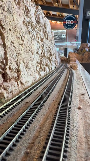 The front rail car is on the ground and the train comes to an emergency stop. #nscalemodeltrains #modeltrains #nscaletrains #nscale #layoutdesign #modeltrainsofinstagram #UnionPacific #BNSF | Arizona N Scaler