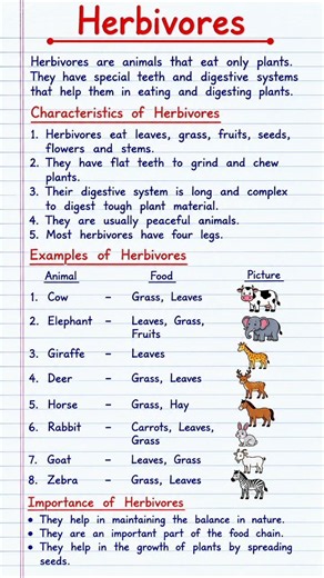 Herbivores 🐘 | Plant-Eating Animals