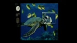 Javaでマインスイーパーを作ってみる。(前編)