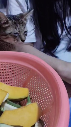 makulit ka e 😅 | dances trend on tiktok