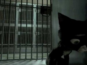 Bolt - Bolt befreit Mittens