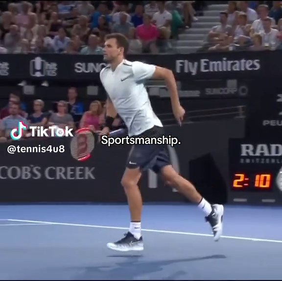 Grigor Dimitrov's Exemplary Sportsmanship in Tennis