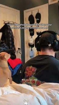 Grumpy dogs 😂😂