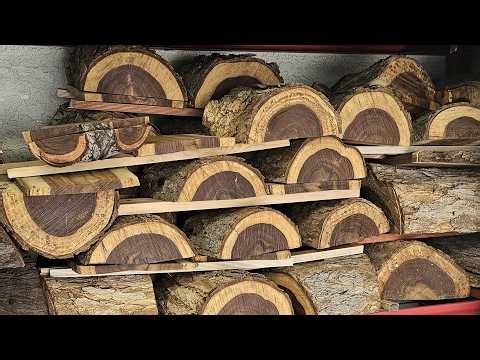 Woodturning- Big Sissoo Live Edge Bowl