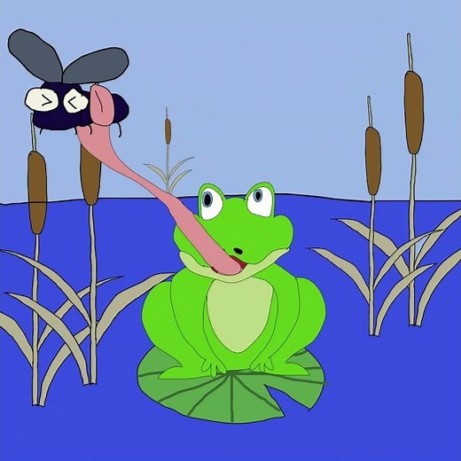 Frog 🐸 Catches a Fly 🪰 Buzzing Around Him