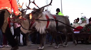 It was great to welcome the Magical Middlesbrough Parade to Campus at the weekend..... | Teesside University