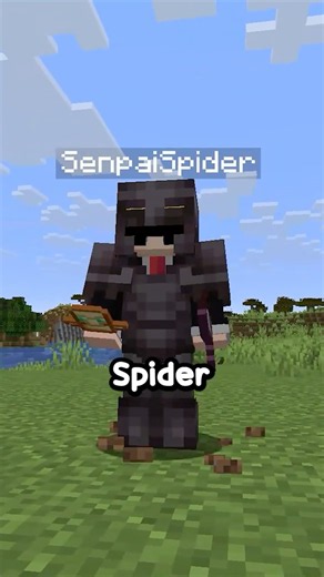 DO NOT let SenpaiSpider See this Video!! #minecraft #radiantsmp #lifestealsmp