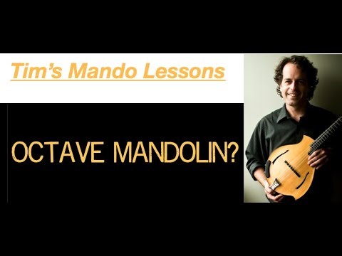 Octave Mando First Sounds