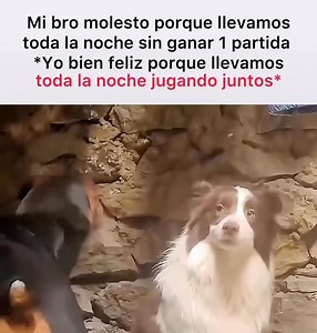 Yo bien enchilado: 😡 Mis compas recibiendo mis insultos: 🥰 #gamers #gaming #videojuegos | LeonDrummer