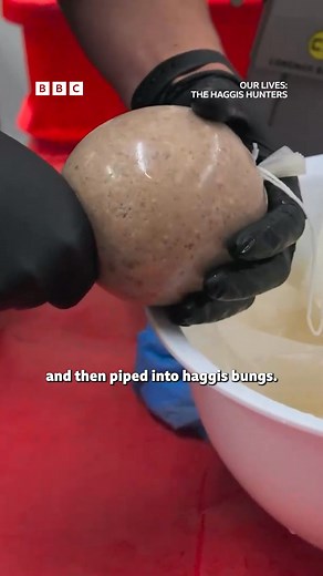 87K views · 395 reactions | “Once they’ve got that winning recipe, you ain’t getting it off them.” The less you know, the more delicious it tastes. Watch Our Lives: Haggis Hunters on BBC iPlayer #HaggisHunters #OurLives | BBC Scotland | Facebook