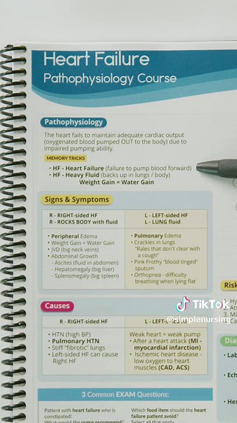 Heart Failure Pathophysiology Study Guide 🫀❌ #heartfailure #heart #nursing #nursingnotes #nursenotes #nursingreview #pathophysiology #nursingschool