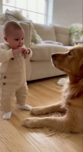 Baby vs Dog: The Cutest Argument You’ll Ever See