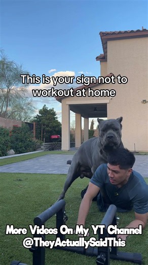 Why you shouldn't excercise at home | Comments Song #chatmusic #shorts #dog