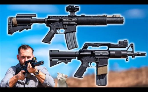 Two 300BLK PDWs（DPMS Kitty Kat & AR-MP5）For Insufferable Retro Hipsters #car15