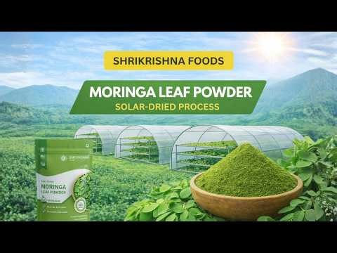 Moringa Powder Making Process | Solar-Dried | Shree Krishna Foods