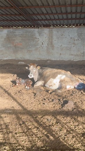 ETİKET BASMAYA DEVAM