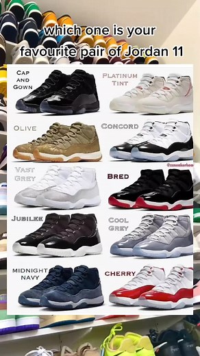 Top Jordan 11 Colorways Ranked | Which is Your Favorite?
