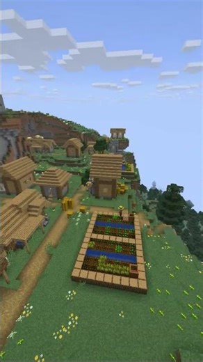 BEST STARD SEED ☠️ #minecraft #minecraftshorts #minecraftbuilding #minecraftseeds