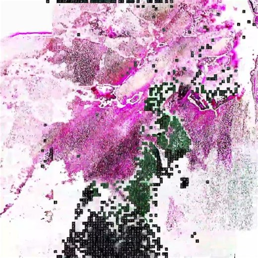 untitled(ascii and webcam)