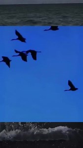 1.2M views · 48K reactions | Ice cream | 퐋inya ng kwento | Facebook