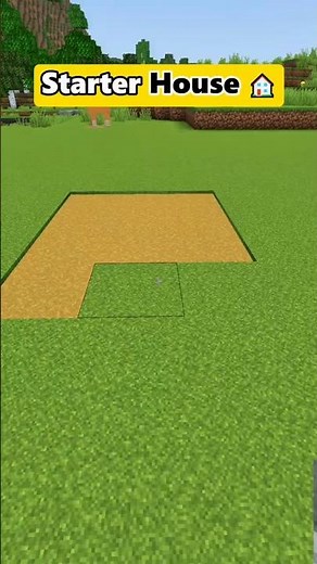 Minecraft Starter House 💀