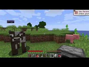 I explored a Minecraft update that has INFINITE dimensions