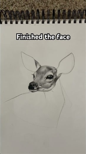 Finished the face (fawn drawing)