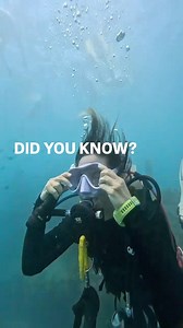 2.3K views · 593 reactions | Mask removal and replacement is a key...