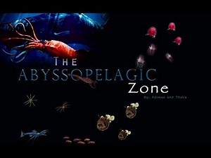 The Abyssopelagic Zone