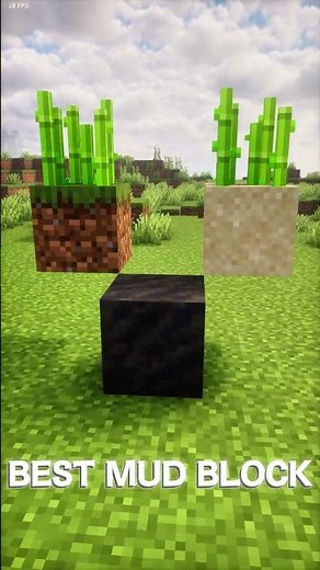 "Minecraft’s Best Sugar Cane Growing Block 🤯"