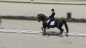 223K views · 10K reactions | A stallion that can only be described...