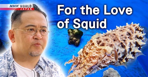 For the Love of Squid - Direct Talk