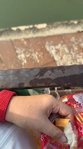 15K views · 109 reactions | I think this fish is angry at me | Animals World , Nature & Quotes | Facebook