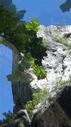 Jurajskie klimaty. Wędrówki w ciszy…