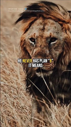 Sigma rule🔥😎 Plan A vs Plan B🦁 #sigma #motivation #shorts